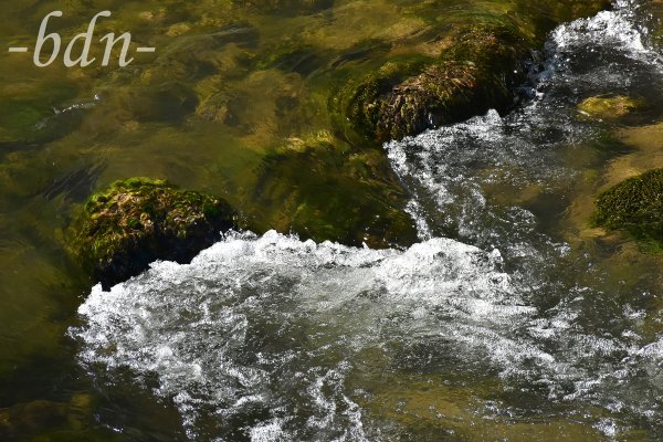 Überspülte Steine und sprudelndes Wasser in einem Bachbett