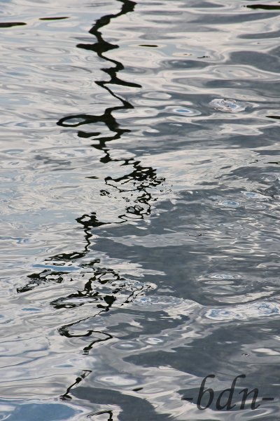 Wasserlinie