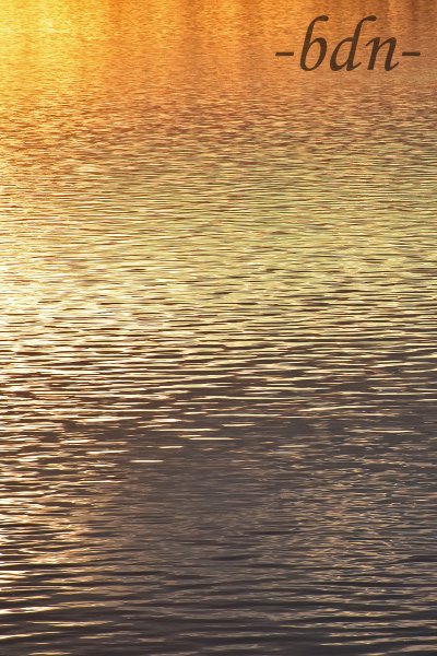 Sonnenuntergang über dem Weiher