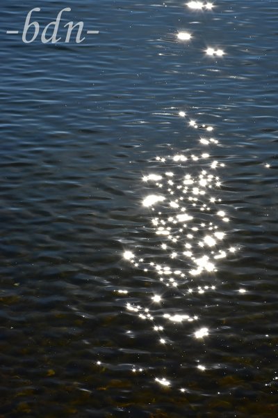 Lichtreflexe tanzen auf den Wellen
