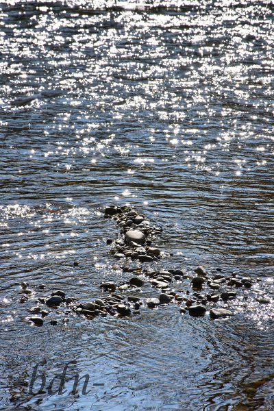 Isarkiesel in glitzerndem Wasser