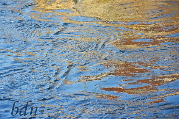 Gold auf dem Wasser