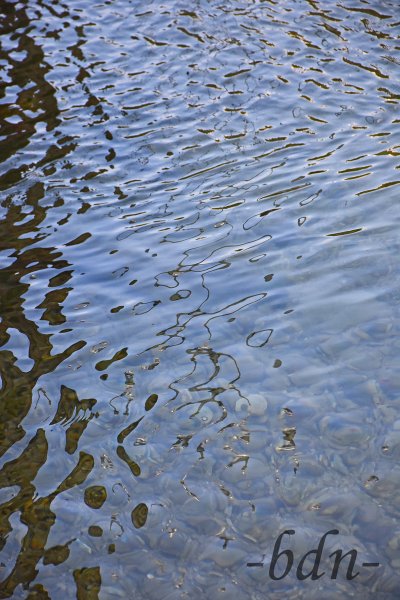Flachwasserzone