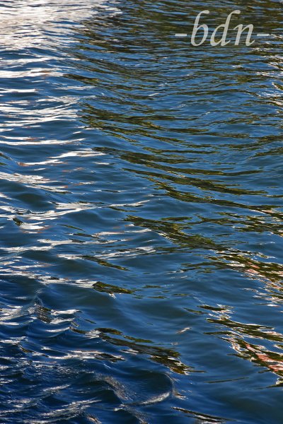 Donauwelle