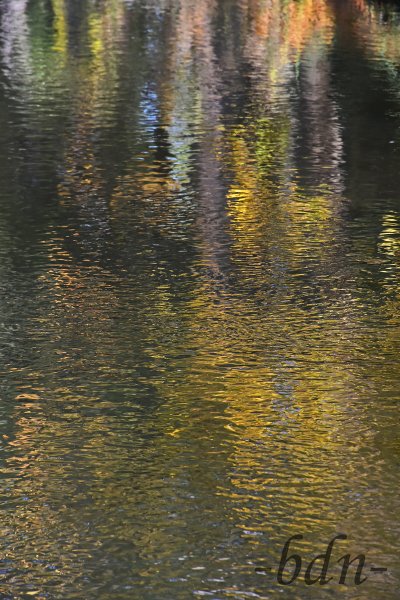 Buntes Herbstlaub spiegelt sich in einem Bach
