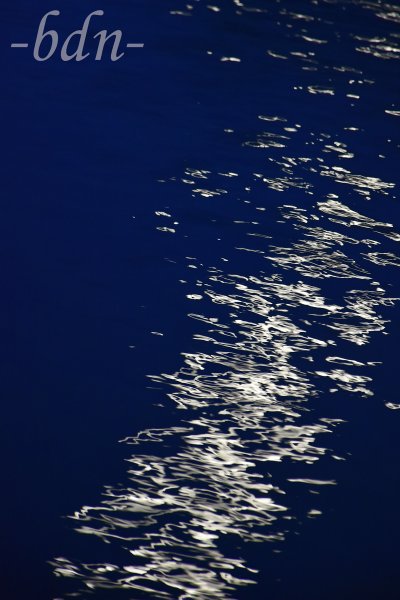 Das Mondlicht spiegelt sich im Wasser eines Flusses