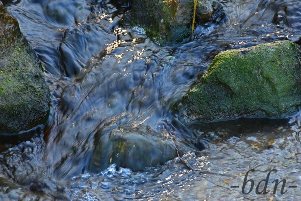 Bemooste Steine in einem Bachbett von Wasser überspült