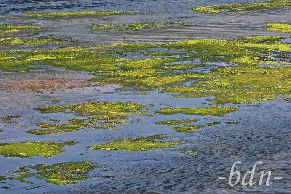 Alles im Fluss