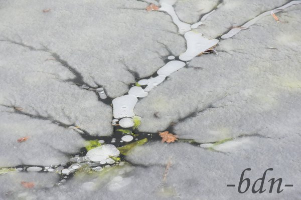 Eiskalte Kunst