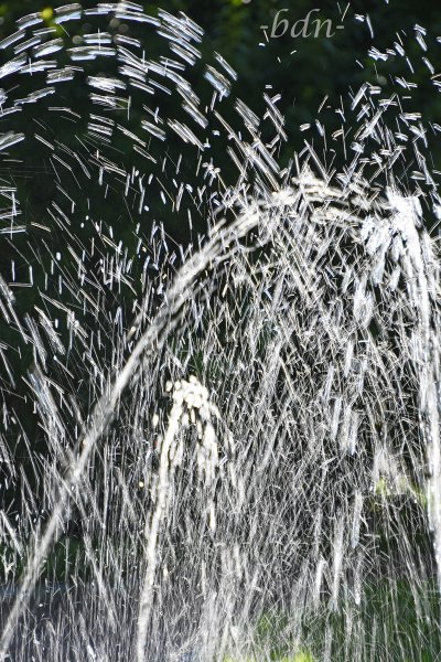 Springbrunnen