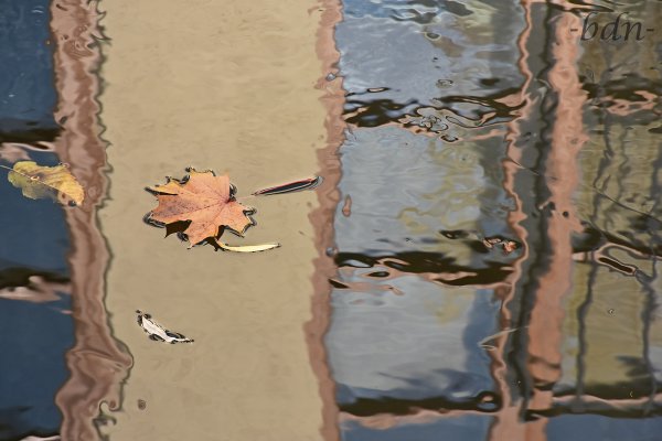 Die Blätter fallen