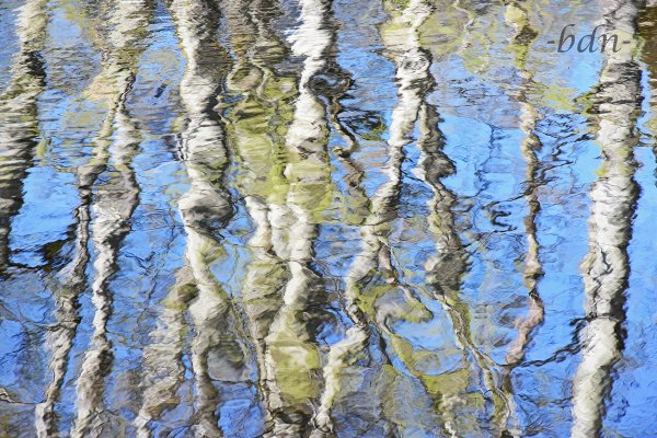 Frühling an der Isar