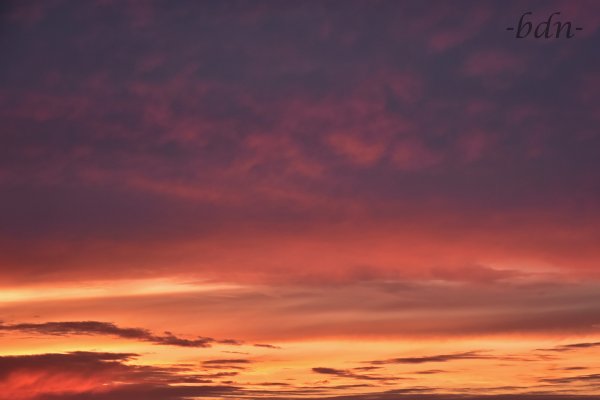 Farbenzauber am Abend
