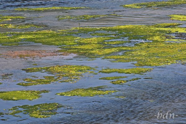 Alles im Fluss