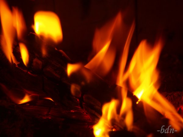 Holzfeuer - Feuerholz