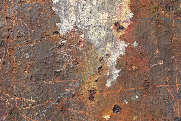 Rost