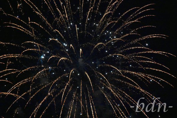 Feuerwerk mit Goldregen