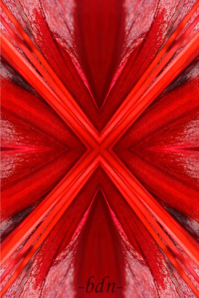 Das rote Kreuz