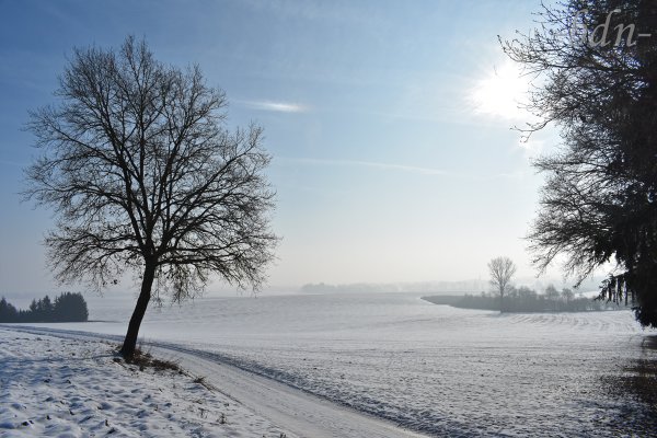 Nebel über dem Ampertal