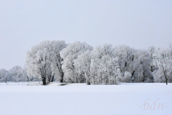 Raureifzauber im Ampertal