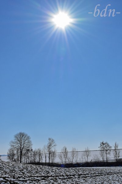 Winterliche Landschaft mit Baumsilhouetten im Gegenlicht
