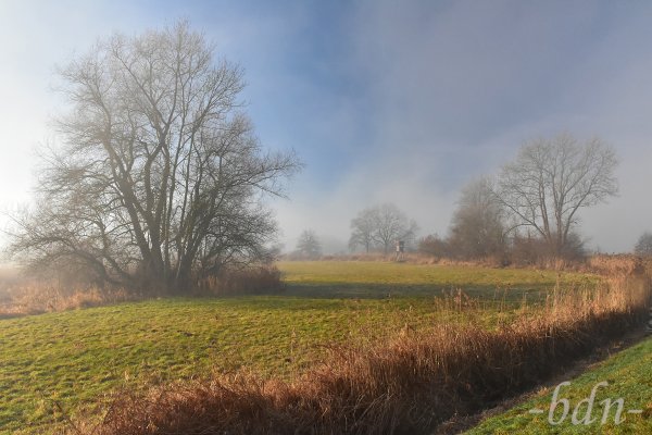 Der Nebel lichtet sich im Ampertal