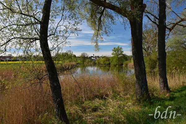 Am Weiher bei Thonstetten, Landschaftsschutzgebiet Amperauen bei Moosburg