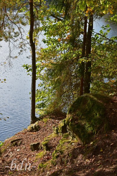 Am Ufer des Höllensteinsees, Naturpark Bayerischer Wald