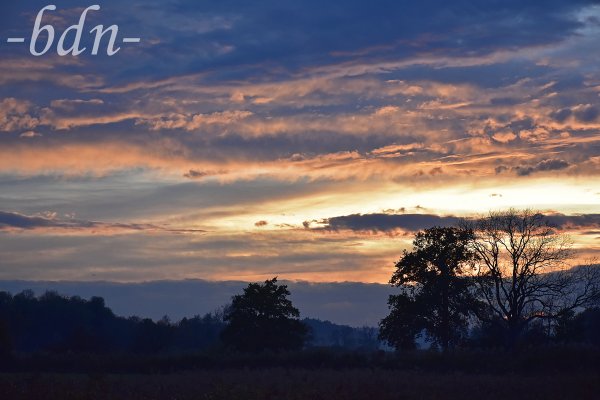 Abenddämmerung in den Amperauen