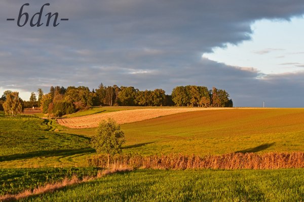 Felder in der Holledau unter einer grauen Wolke im Licht der Abendsonne