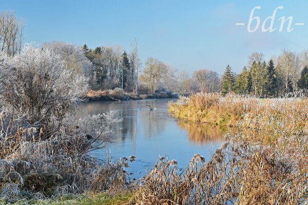 Erster Frost in der Amperau