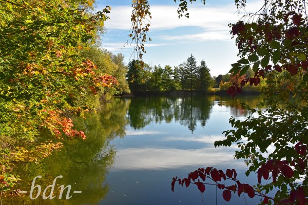 Bunter Herbst am Bonauer Weiher