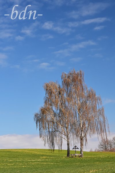 Frühling in der Holledau
