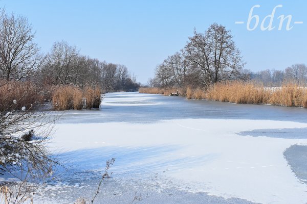Zugefrorener Weiher in der Amperau