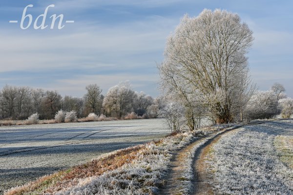 Winterspaziergang in den Amperauen