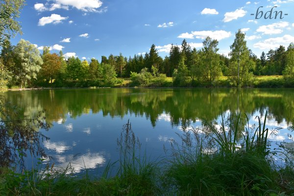 Sommer am Bonauer Weiher