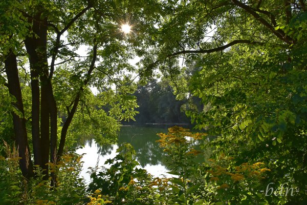 Sommerabend am Bonauer Weiher
