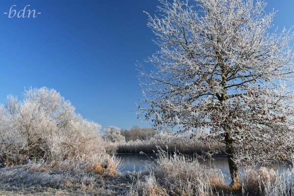 Raureifzauber in der Amperau