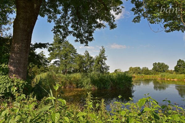 Hochsommer im Ampertal