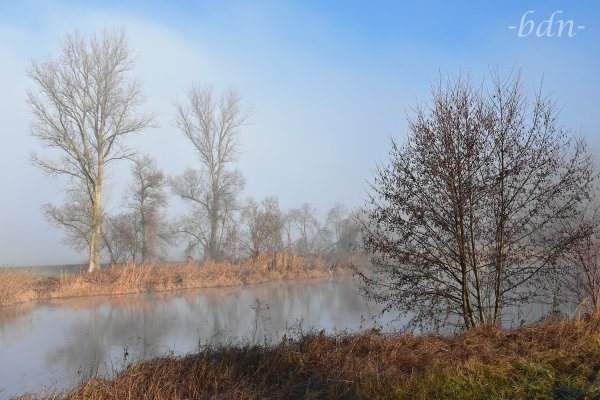 Im Ampertal bei Thonstetten lichtet sich der Nebel