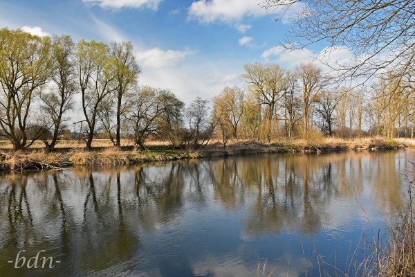 Frühling im Ampertal bei Thonstetten
