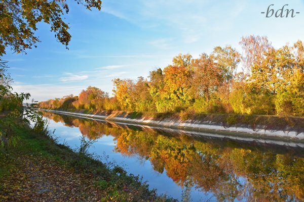 Herbstabend am Mittlere-Isar-Kanal