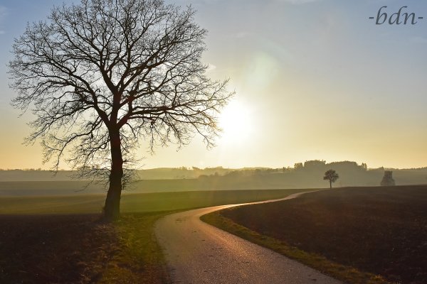 Abendspaziergang nach Sixthaselbach