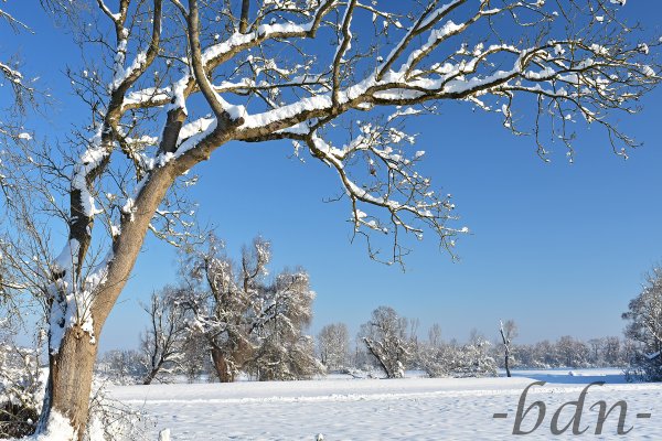 Winterzauber in der Amperau