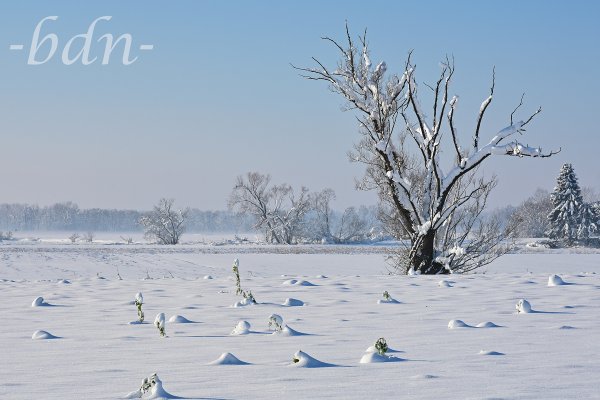 Winteranfang im Ampertal