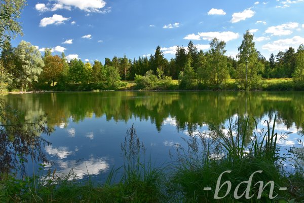 Sommer am Bonauer Weiher