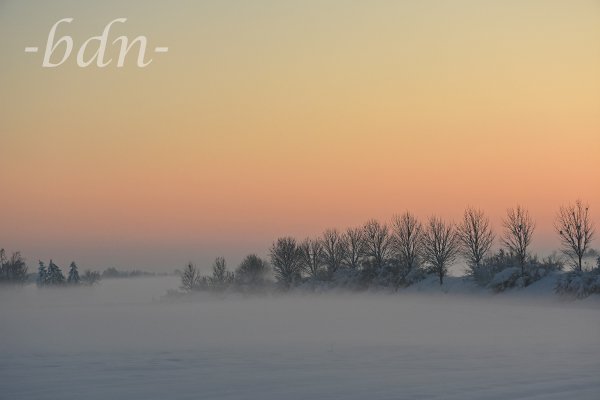 Nebel über schneebedeckten Feldern in der Goldenen Stunde