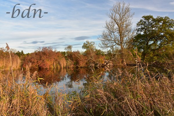 Herbst in den Amperauen