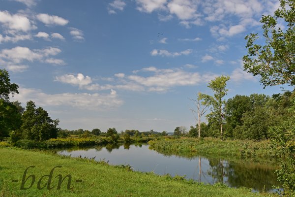 Hochsommer im Ampertal bei Moosburg-Oberreit