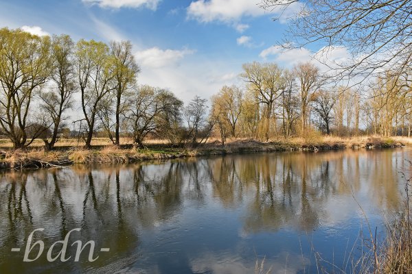 Frühling im Ampertal bei Moosburg-Thonstetten